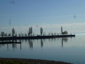 Ins Fischernetz